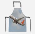 Air India s Boeing 787 Designed Kitchen Aprons Supply